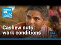 Cashew nuts: Painful working conditions behind popular snack | Access Asia • FRANCE 24 English