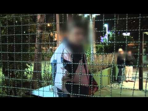 Policia 24 Horas 31/07/14 - Completo