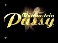 Rammstein кавер ( Pussy ) PortYar 