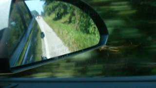 Black Mountain - Wilderness Heart...and a Bug