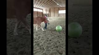 Ekaluokkalaisen englannin tunti: numerot