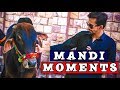 Mandi Moments By Peshori Vines Official