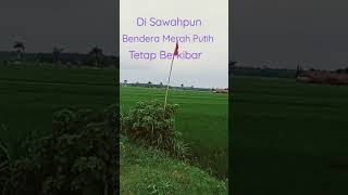 Download lagu Bendera Merah Putih Ini Tetap Berkibar Walaupun Sudah Robek Robek Ujungnya.#shorts #shortvideo mp3