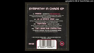 The Liquid Dub Connection - Floating Through The Air On Gossamer Wings