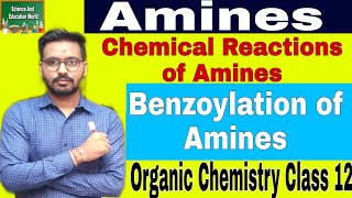 Benzoylation of Amines|Amines|Chemical Reactions of Amines Class 12|#shorts #short #shortvideo