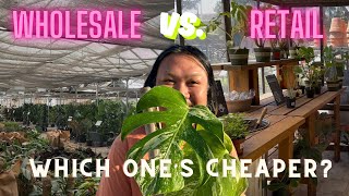 Stop Overpaying for Houseplants - Investigating Retail vs. Wholesale Pricing