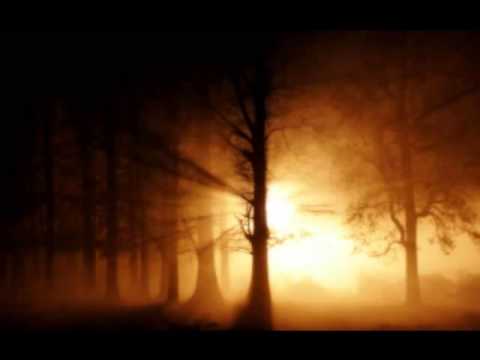 FER Y JULIO - IR EN PAZ