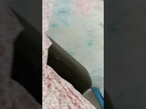 los backyardigans  flash informativo ep 38