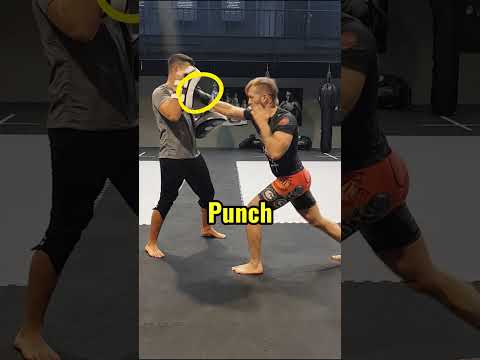 Knee Feint into Punch #fujin #germantopteam #kampfsport #mma #karate #strikingdrills #thaiboxing