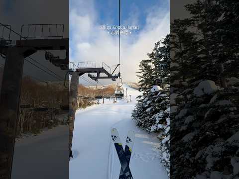 Shiga Kogen Day Trip: Shiga Kogen Ichinose Family Ski Area