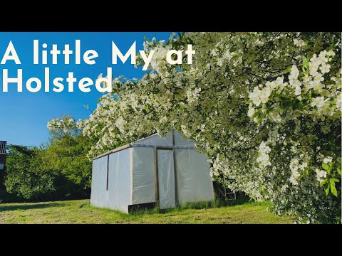 #1 A little My at Holsted | Homee21