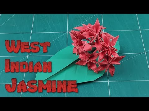 Easy 3D Ixora Coccinea Origami Flower | How To Make a Simple Flower Tutorials | DIY Spike Flowers