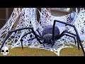 The Secret to Making the BEST Halloween Spiderwebs