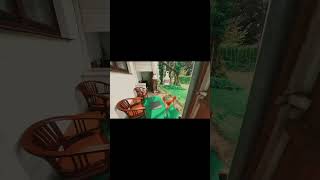 【ハンブルク旅】愛犬と一緒に行った、ハンブルクへの旅。ロード・トリップ｜Road Trip To Hamburg #shorts