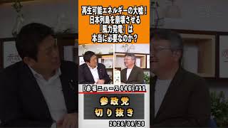 11再生可能エネルギーの大嘘？#参政党 #神谷宗幣