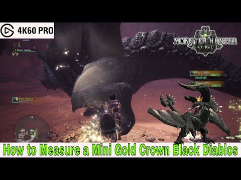 Monster Hunter: World - How to Measure a Mini Gold Crown Black Diablos Video