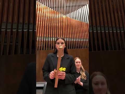 Ela Tocou Um dos Instrumentos Mais Difíceis do Mundo 😲