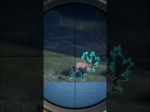 Spotted Red Deer G1 #shorts #cotw