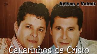 Download lagu MELHORES MÚSICAS DOS CANARINHOS DE CRISTO COMPLET... mp3