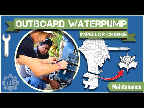 Johnson Evinrude 15HP 2-Stroke Impeller Replacement | Water Pump Service Kit