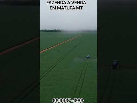 FAZENDA A VENDA EM MATUPÁ MT 30 KM DA CIDADE ZAP 66 99937-1289