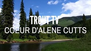 Trout TV - North Fork of the Coeur d'Alene Fly Fishing
