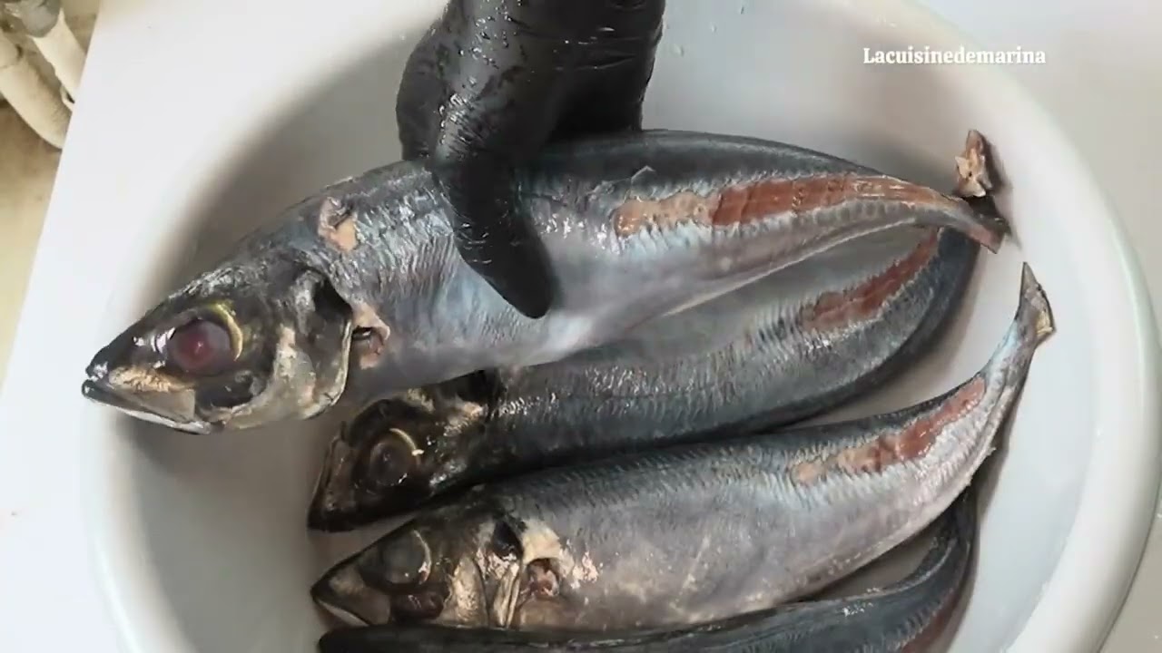 Burkina Faso : Le prix du poisson de mer en hausse