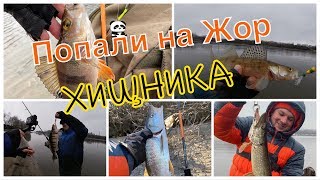 Старое русло москвы реки рыбалка
