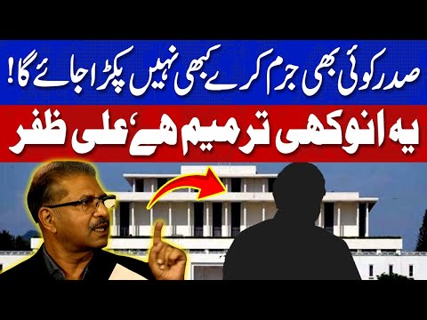 صدر کوئی بھی جرم کرلے کبھی نہیں پکڑا جائے گا، یہ انوکھی ترمیم ہے، علی ظفر