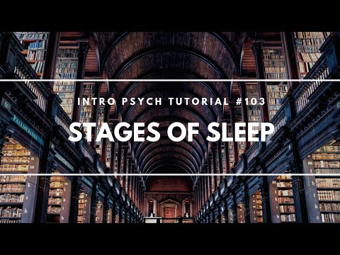 Stages of Sleep (Intro Psych Tutorial #103)