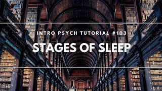 Stages of Sleep (Intro Psych Tutorial #103)