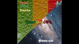 Social Living Sounds "The Art of Dub" (Dub Flash Records)