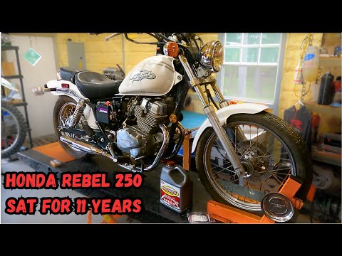 Honda Rebel 250 sat for 11 year. Can we bring it back to life?