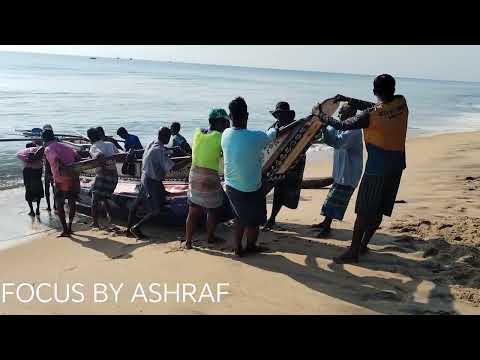 FOCUS BY ASHRAF + FISHING + HOW TO FISHING