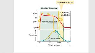 PhysioEx6