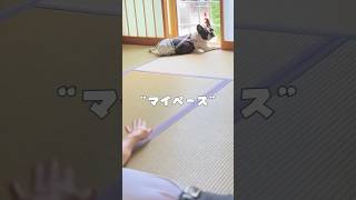 実家でもマイペースなフレブル