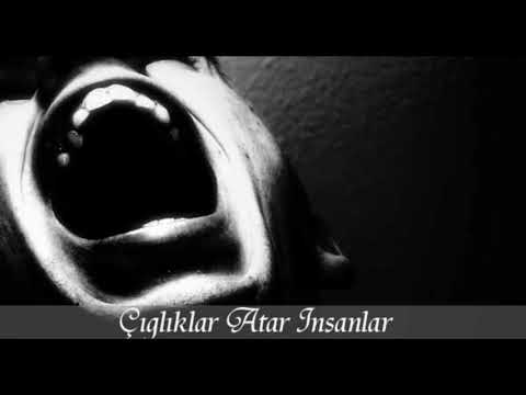 Çığlıklar (2011)