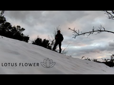 Lotus Flower - Short Film