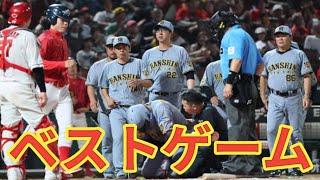 【阪神劇的勝利】警告試合の激闘を制す！藤川監督「ベストゲーム」発言の真意とは？