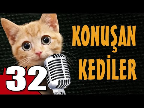 Konuşan Kediler 32 - En Komik Kedi Videoları