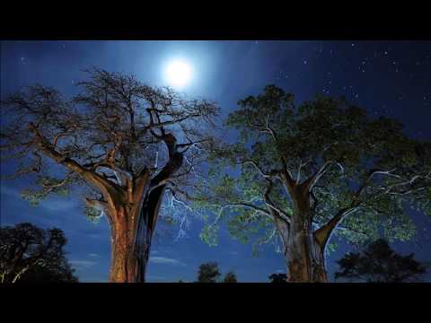 Moja bol - Katica Razum