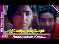 Nadhiyodum Karai Video Song Avaram Poo Tamil Movie Songs Vineeth Nandhini Ilayaraja