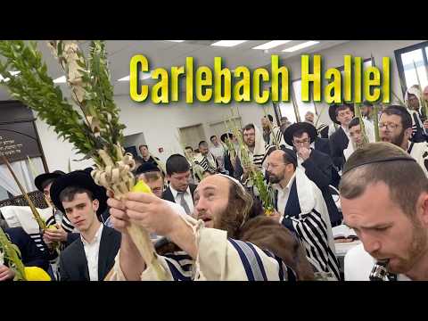 Listen Nissim: Musical Carlebach Chol-HaMoed Sukkos Hallel (Aish Kalman/Giva'at HaMivtar Kollel)