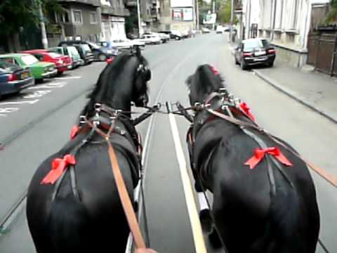 Parada tramvaielor in CARAVANA TIMPULUI, calatorie cu un tramvai cu cai, 19 Septembrie 2009