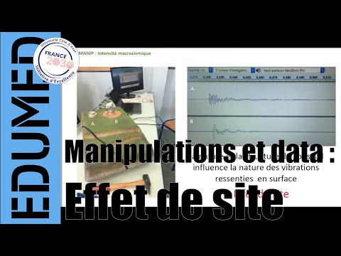 « Effet de site » : principes et manipulations pédagogiques avec EduMed