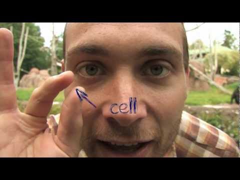 Fem små filmer om evolution: Avsnitt 1 (5)