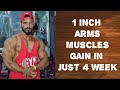 1 Inch Biceps Muscles Gain in just 4 weeks