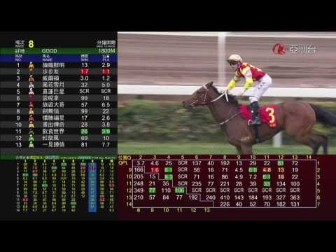 16/02/2014 香港經典盃 威爾頓 貝湯美