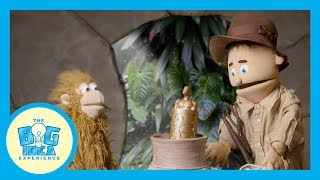 Adventures with Artie: Wisdom