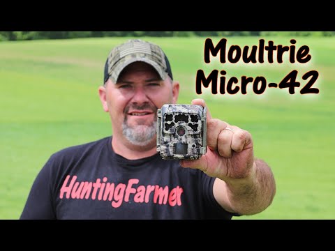Moultrie Micro-42 world's smallest trail camera??? Review and Field Testing w/sample photos videos